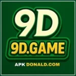 9D Game