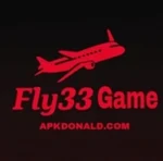 Fly33 Game