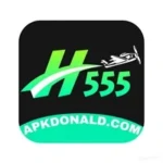 H555 Game