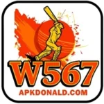 W567 Game