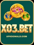 X03 Bet Game