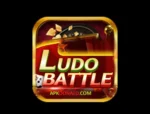 Ludo Battle Game