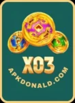 X03 Game